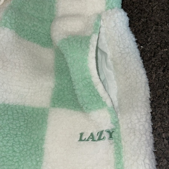 Lazy Oaf Limited Edition Pistachio Checkerboard Fleece Shorts - Picture 6 of 11